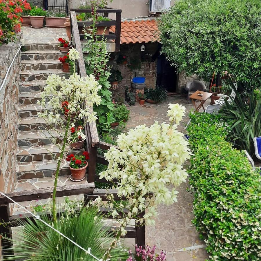 Villa Il giardino del borgo Rocca Cilento Esterno foto